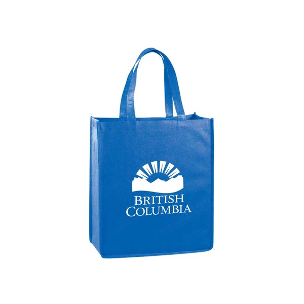 B564 Basic bag slim retail bag $2.59 ( includes a one color logo and set up charges) Minimum 250 bags