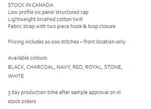 X300 - Cap America x series value 6 panel cap $10.75 - promotional products - ( price includes 10,000 stitch embroidered logo) minimum 48
