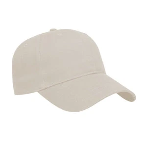 X300 - Cap America x series value 6 panel cap $10.75 - promotional products - ( price includes 10,000 stitch embroidered logo) minimum 48
