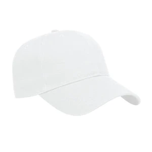X300 - Cap America x series value 6 panel cap $10.75 - promotional products - ( price includes 10,000 stitch embroidered logo) minimum 48