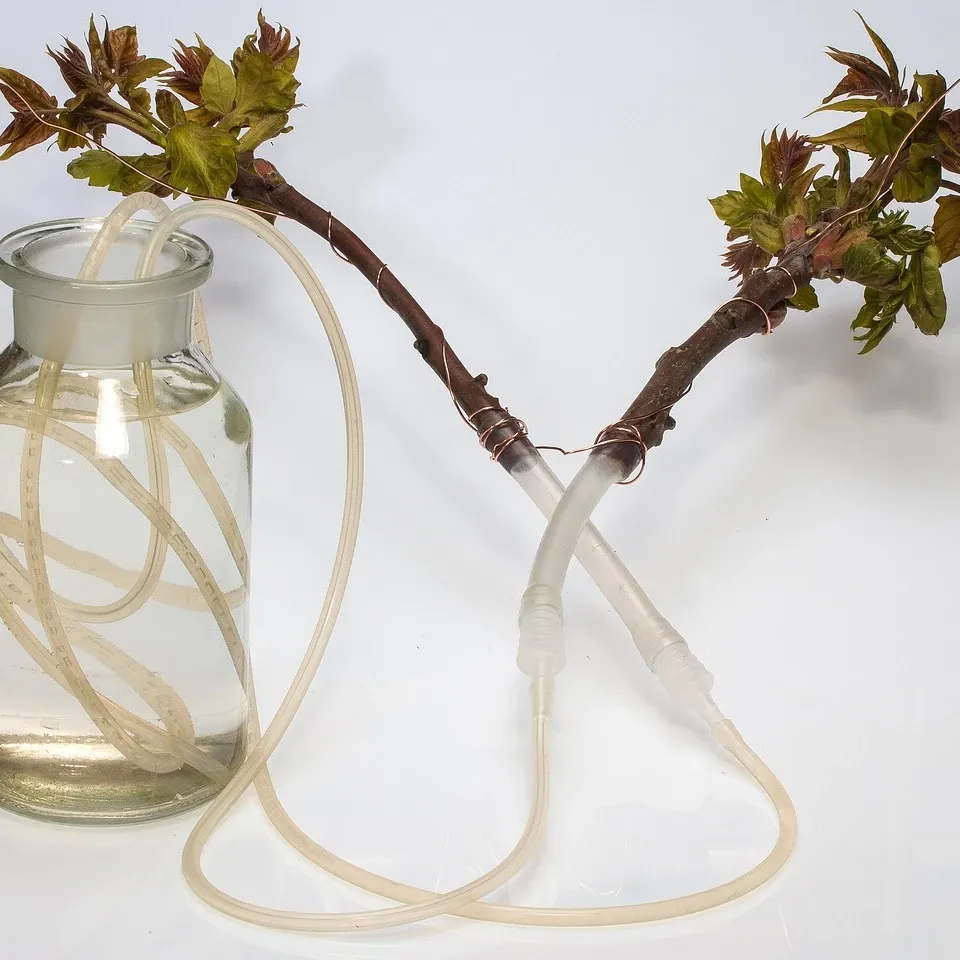 Wide Mouth bottle with carabiner - D550 - $8.00 (price includes 1 color print) minimum 100