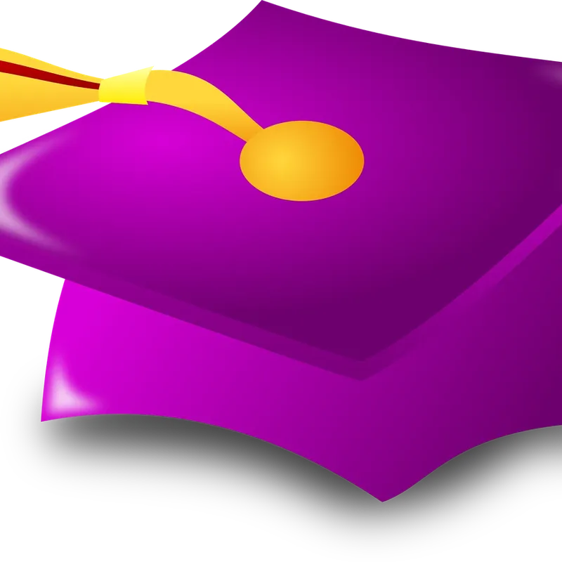 i8501 -  Premier Line - Flexfit custom cap - $23.55 -25.55 - promotional products (price includes 10,000 stitch embroidery and free freight) minimum 48
