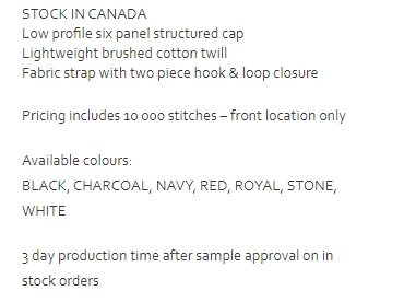 X300 - Cap America x series value 6 panel cap $10.75 - promotional products - ( price includes 10,000 stitch embroidered logo) minimum 48